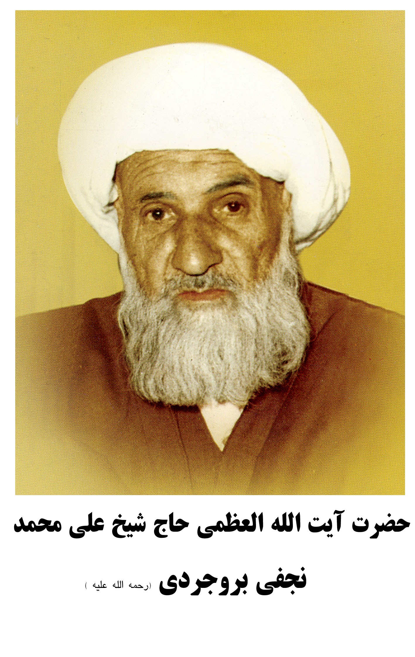 شیخ علی محمد بروجردی نجفی