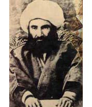 محمد حسین کاشف الغطاء  (کاشف الغطاء)